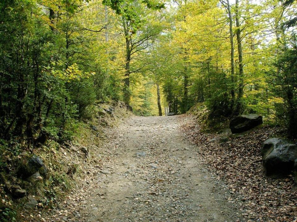 Apartamentos Pirineos Ordesa El Pueyo de Araguás Exteriér fotografie